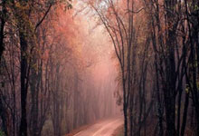 斯图加特助教带队征战，球队备战精力充沛