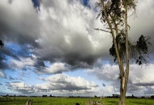 多特蒙德锋线进攻犀利，对手束手无策