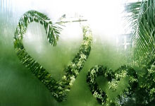 哥伦比亚胜秘鲁，小组竞争非常激励：一场证明与觉醒的较量