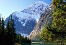 雷霆万钧:阿根廷队瞄准奖牌