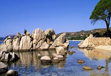 荷兰代表团在自由式滑雪比赛中斩获奖牌——从风车国到雪场新势力